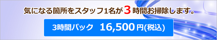 お掃除3時間パック