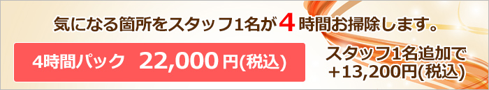 お掃除4時間パック