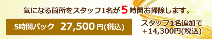 お掃除5時間パック